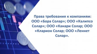 Права требования к компаниям:  ООО «Бора Солар» ; ООО «Калипсо Солар»; ООО «Канари Солар»; ООО «Кларион Солар» ; ООО «Леннет Солар»